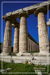 Paestum (70)