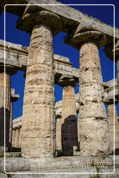 Paestum (72)