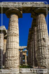 Paestum (76)