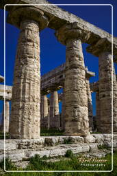 Paestum (82)