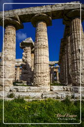 Paestum (83)