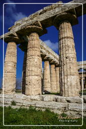 Paestum (87)