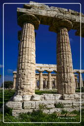 Paestum (88)