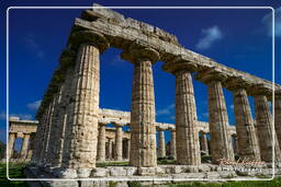 Paestum (91)