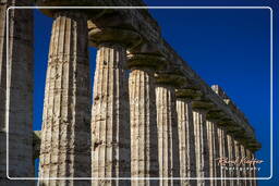 Paestum (92)