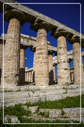 Paestum (98)