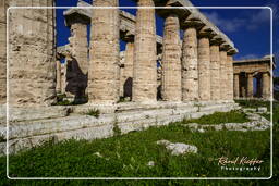 Paestum (99)