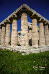 Paestum (100)