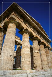 Paestum (102)