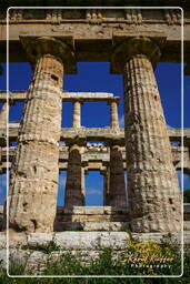 Paestum (105)