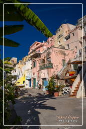 Procida (67)