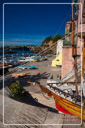 Procida (69)