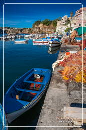 Procida (80)