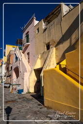 Procida (83)