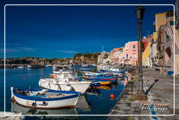 Procida (89)