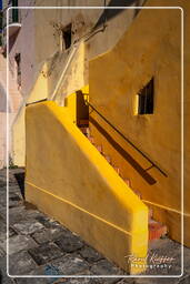 Procida (91)