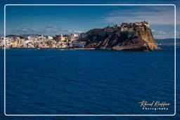 Procida (105)