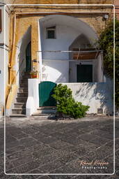 Procida (109)