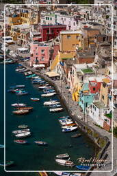 Procida (131)