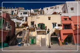 Procida (134)