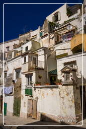 Procida (156)