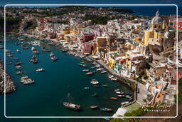 Procida (169)