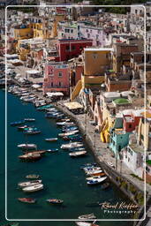 Procida (170)