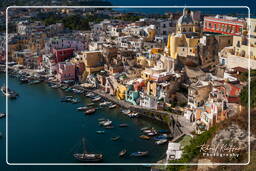 Procida (202)