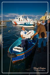 Procida (218)