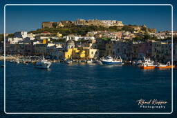 Procida (227)