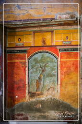 Oplontis (16)