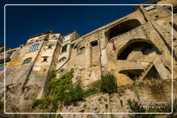 Sant’Agata de’ Goti (130)