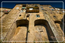 Sant’Agata de’ Goti (134)