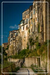 Sant’Agata de’ Goti (151)