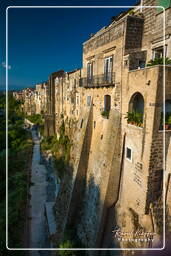 Sant’Agata de’ Goti (207)