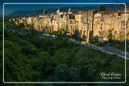 Sant’Agata de’ Goti (313)