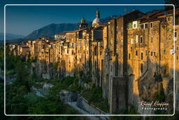 Sant’Agata de’ Goti (383)