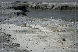 Solfatara di Pozzuoli (6)