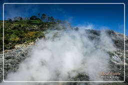 Volcan de Solfatare (10)