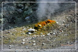 Volcan de Solfatare (11)