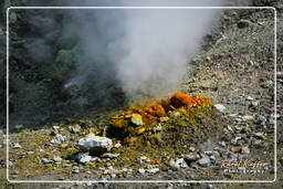 Volcan de Solfatare (12)