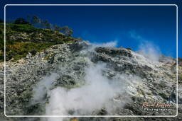 Solfatara de Pozzuoli (43)