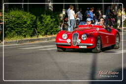 Mille Miglia (13)