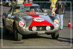 Mille Miglia (123)