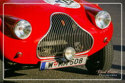 Mille Miglia (135)