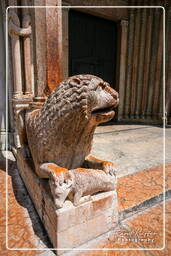 Duomo, Modena (12)
