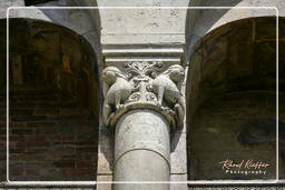 Duomo, Modena (25)