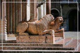 Duomo, Modena (29)