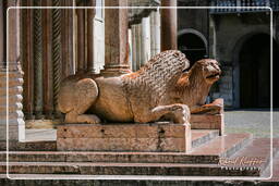 Módena (29) Duomo