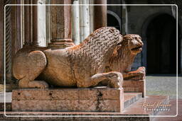 Duomo, Modena (30)